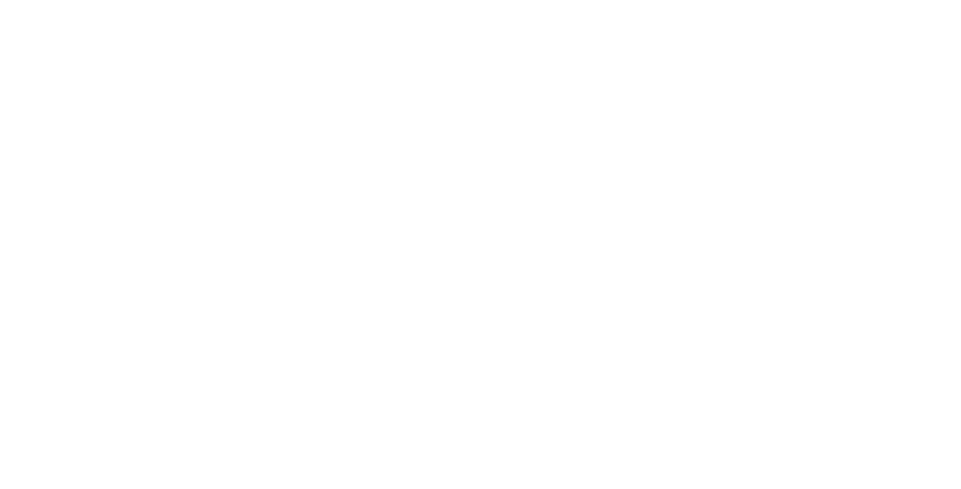 Geist Traaned Leather Expert